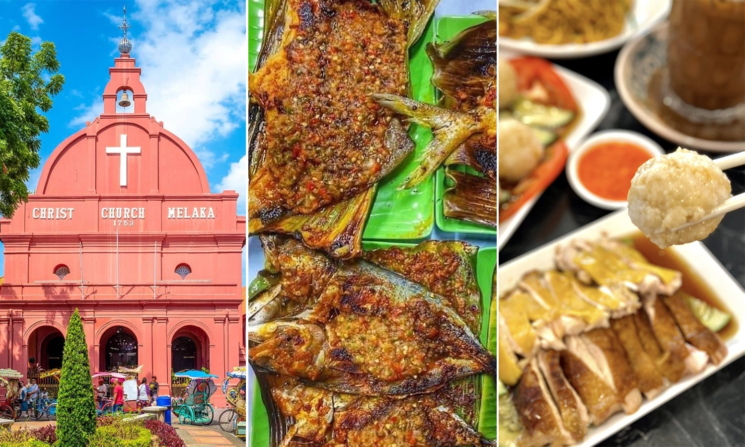 Website Cover Format copy